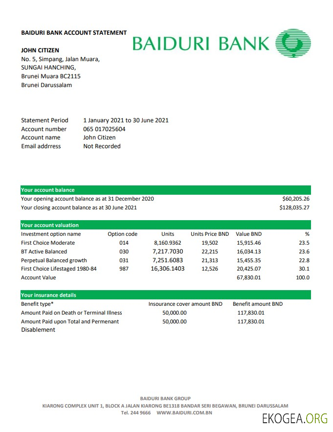 Relevé bancaire de Brunei Baiduri, modèle facile à remplir au format Excel et PDF (AutoSum)